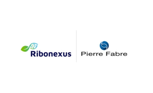 Aglaia Therapeutics becomes Ribonexus and signs exclusive license agreement with Pierre Fabre on small molecules targeting