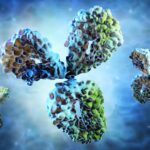 Antibody – visual concept of immune System – 3D illustration