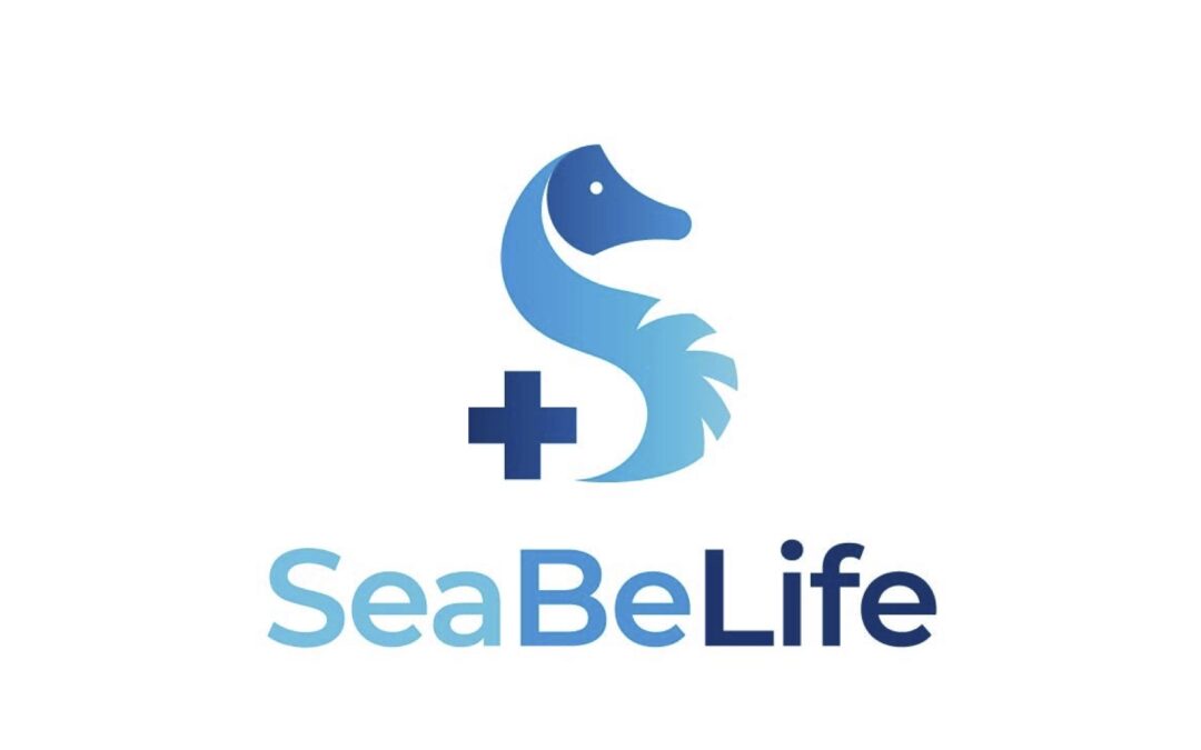 Seabelife – Visibility and market recognition for innovative biotech startup
