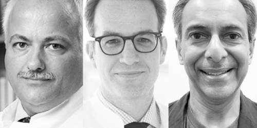Robocath strengthens its medical advisory board with international interventional cardiology experts