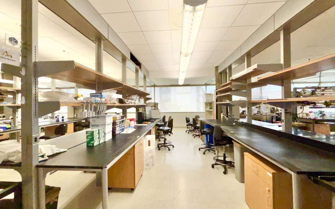 Meteor Biotech opens US office on UCLA campus to support biomedical research partners in North America