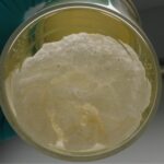 Novadip-NVD003-shipped-ready-for-the-implantation-to-the-patient